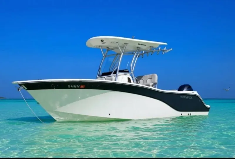 The Image of Sea Fox 228 Commander 2020 - 7289591