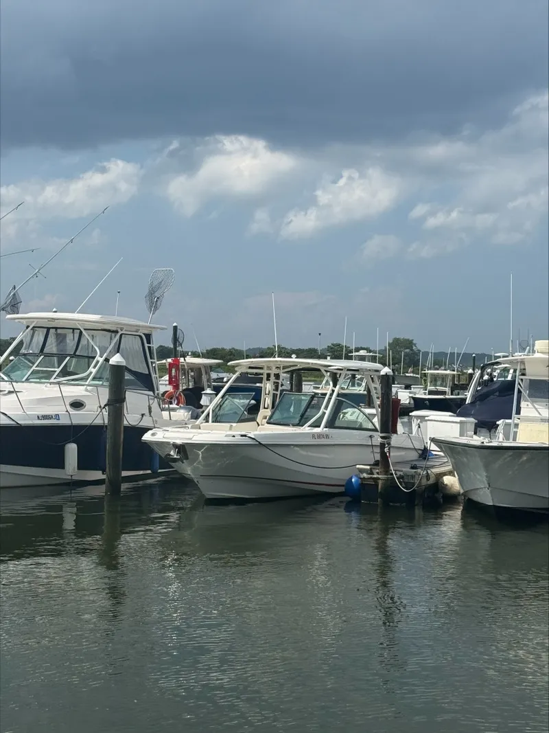 The Image of Boston Whaler 270 Vantage 2019 - 7308916