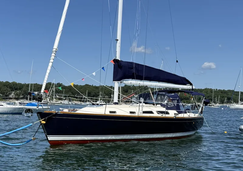 The Image of Sabre 38 2009 - 7309171