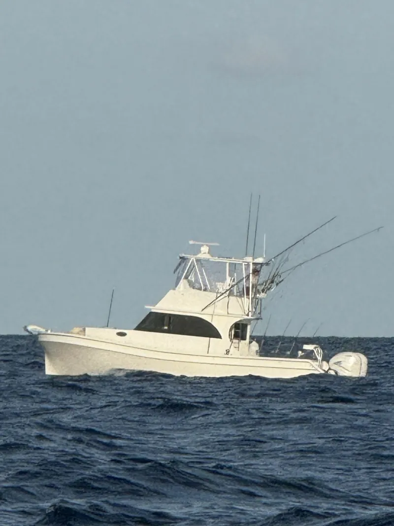 The Image of Millenium Marine 37 WA 2023 - 7368104