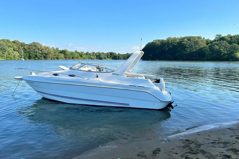 The Image of 2002 Wellcraft 2600 Martinique - 7925748