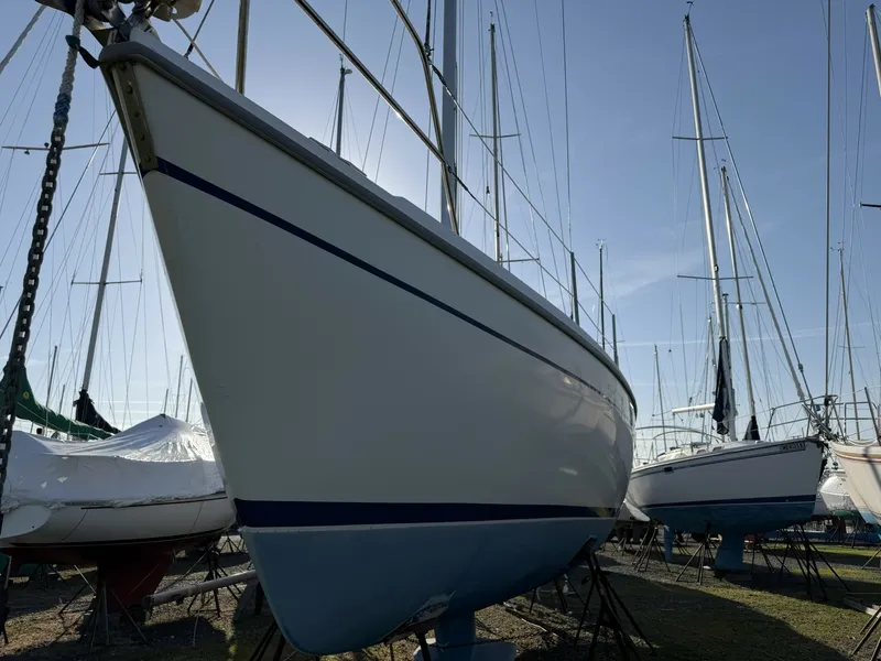 Slide: The Image of Catalina 36 Mk II 1995 - 7369317