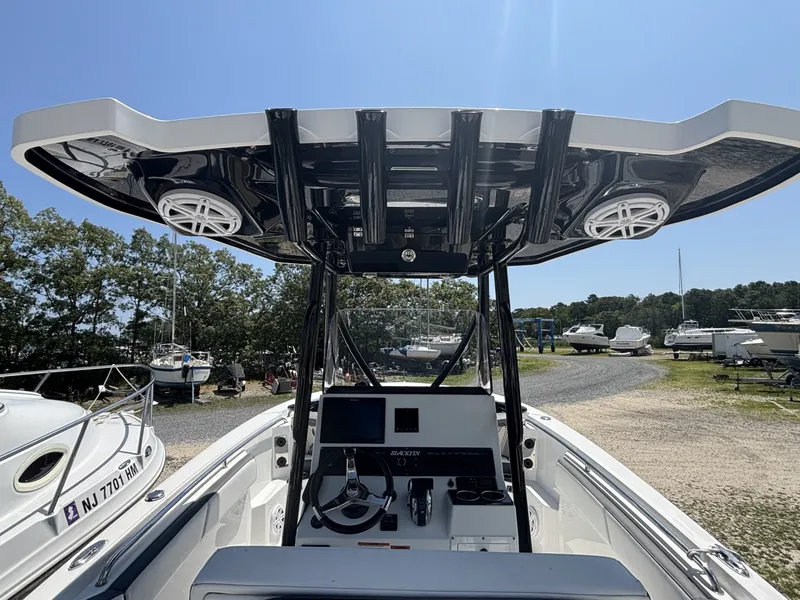Slide: The Image of Blackfin 242CC 2020 - 7387390