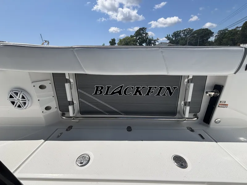Slide: The Image of Blackfin 242CC 2020 - 7386930