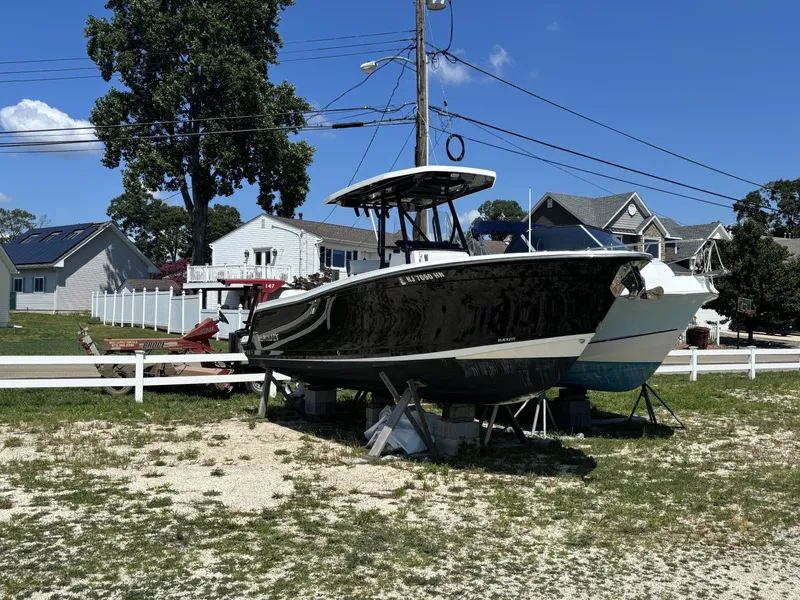 Slide: The Image of Blackfin 242CC 2020 - 7387502