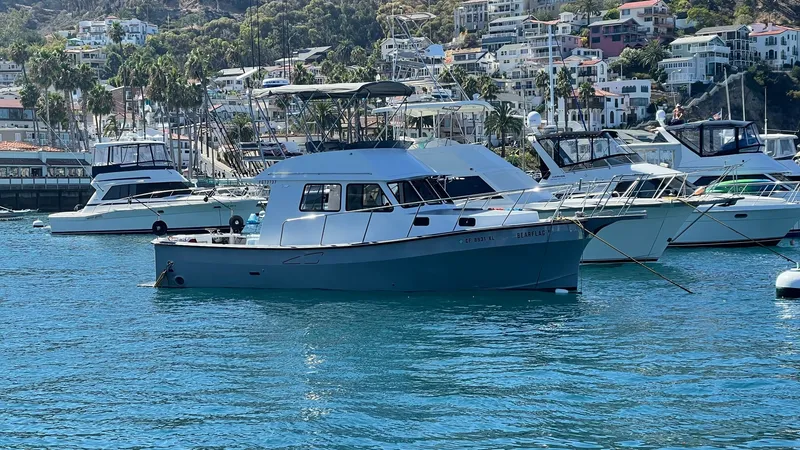 Slide: The Image of Side Profile of Sportfish Yacht The 2019 Donelle 36 Flybridge Sportfish, BEAR FLAG III, is showcased here in a serene harbor setting. Its sleek hull design and spacious flybridge are ideal for sportfishing enthusiasts. The vessel's robust build and stylish profile make it a standout amo - 7398013