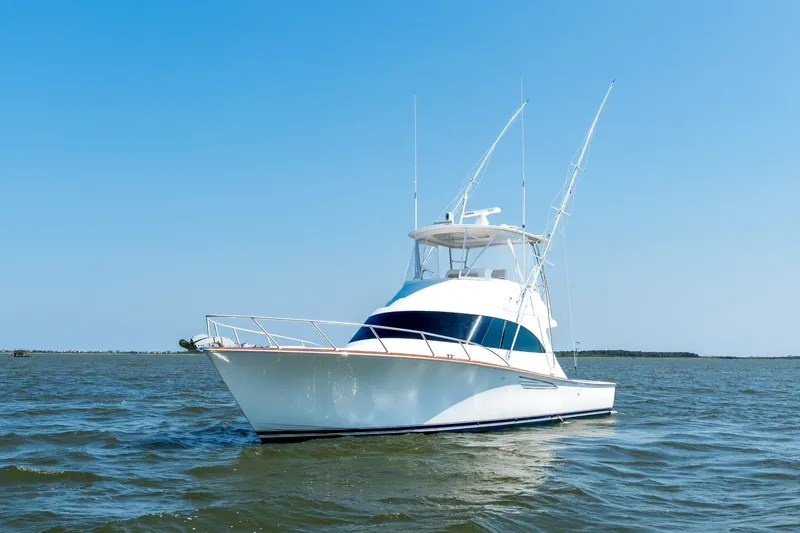 Slide: The Image of Viking 46 Billfish 2023 - 7738769