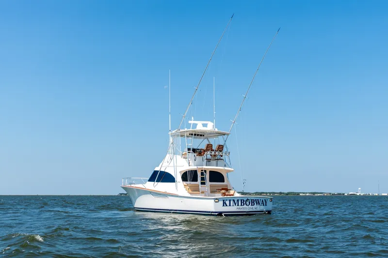 Slide: The Image of Viking 46 Billfish 2023 - 7738775