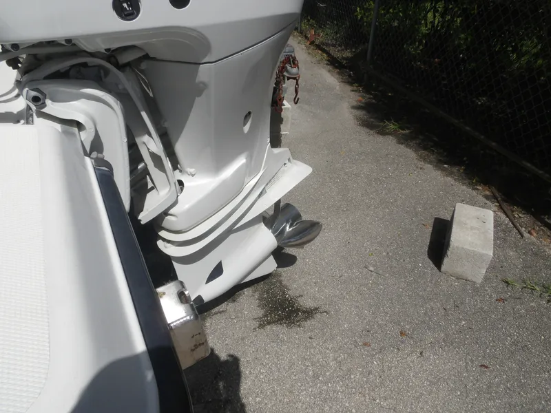 Slide: The Image of Hydra-Sports 2596 2000 - 7398756