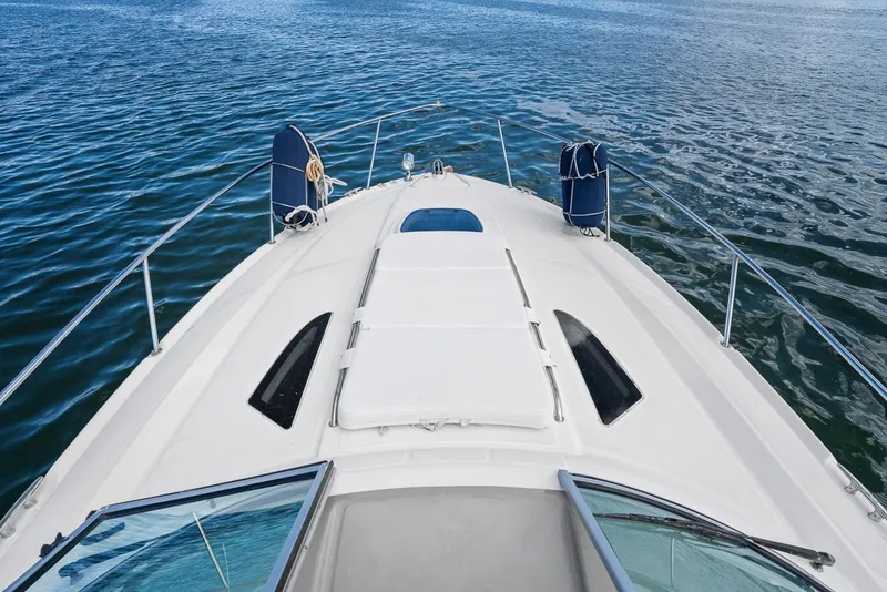 Slide: The Image of Sea Ray 310 Sundancer 2009 - 7399617