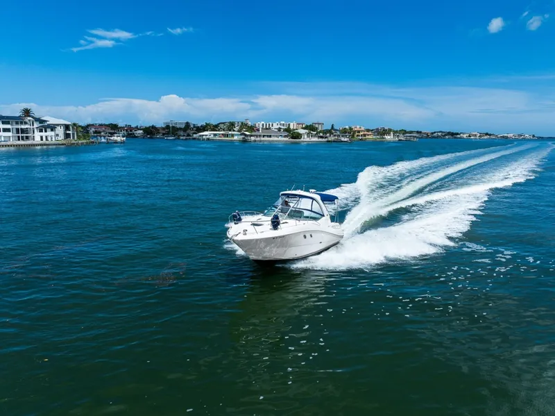 Slide: The Image of Sea Ray 310 Sundancer 2009 - 7399603