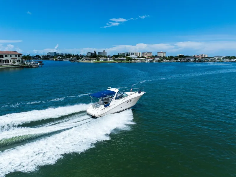 Slide: The Image of Sea Ray 310 Sundancer 2009 - 7399607