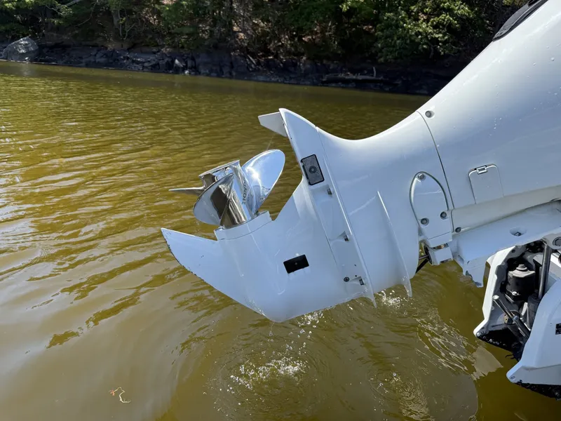 Slide: The Image of Seaway 24 2024 - 7400713
