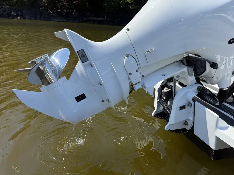 Slide: The Image of Seaway 24 2024 - 7400714
