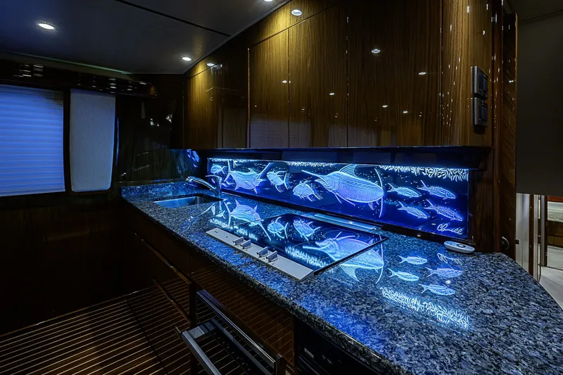 Slide: The Image of Viking 76 Enclosed Bridge 2011 - 7406278