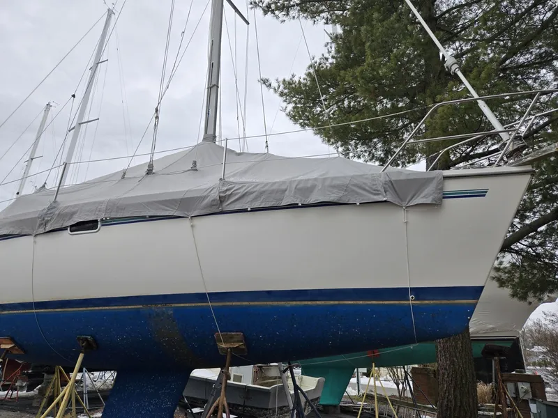 Slide: The Image of Catalina 320 1998 - 7407628