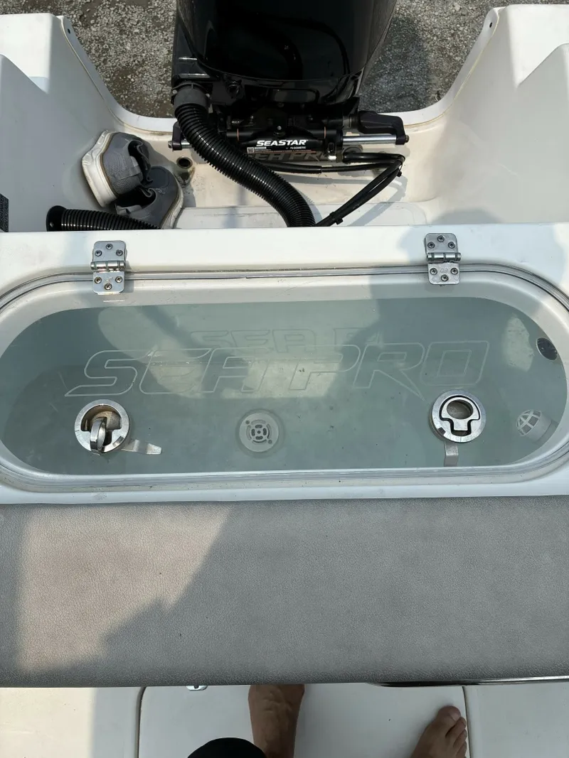 Slide: The Image of Sea Pro 24 2023 - 7409258