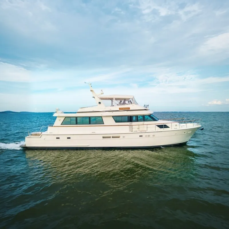 The Image of Hatteras 74 Cockpit Motor Yacht 1989 - 7539622