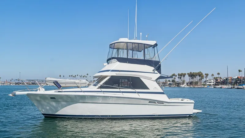 The Image of Starboard Profile with Flybridge The 1998 Riviera Convertible 'FOREVER YOUNG' is showcased in a serene starboard view, highlighting its sleek lines and robust design. The flybridge is prominently featured, offering panoramic views and equipped with a robust antenna setup, ideal for navig - 7415848