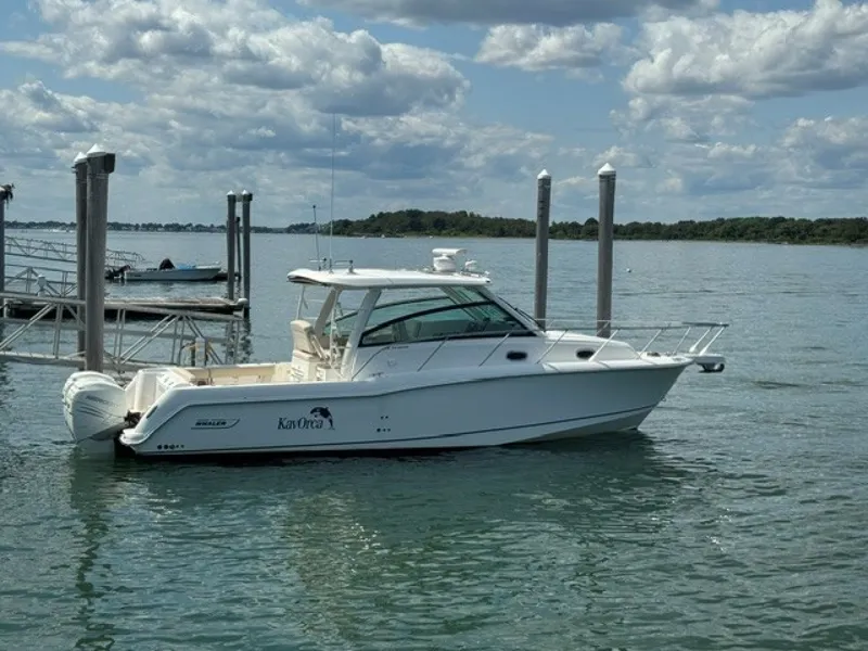The Image of Boston Whaler Conquest 2016 - 7451646