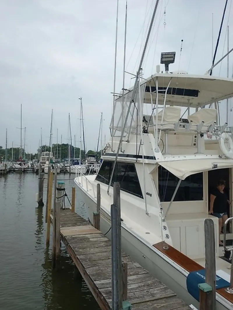 The Image of Viking 48 Convertible 1989 - 7452557