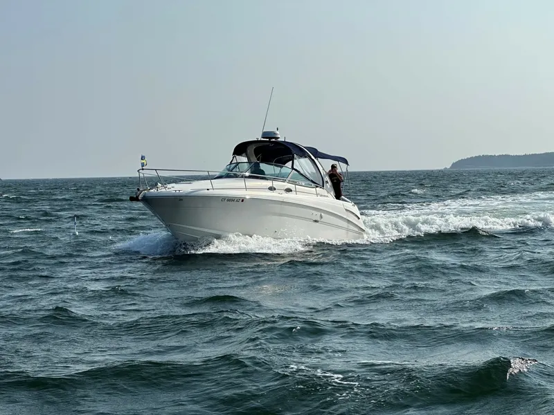 The Image of Sea Ray 300 Sun Dancer 2004 - 7465811