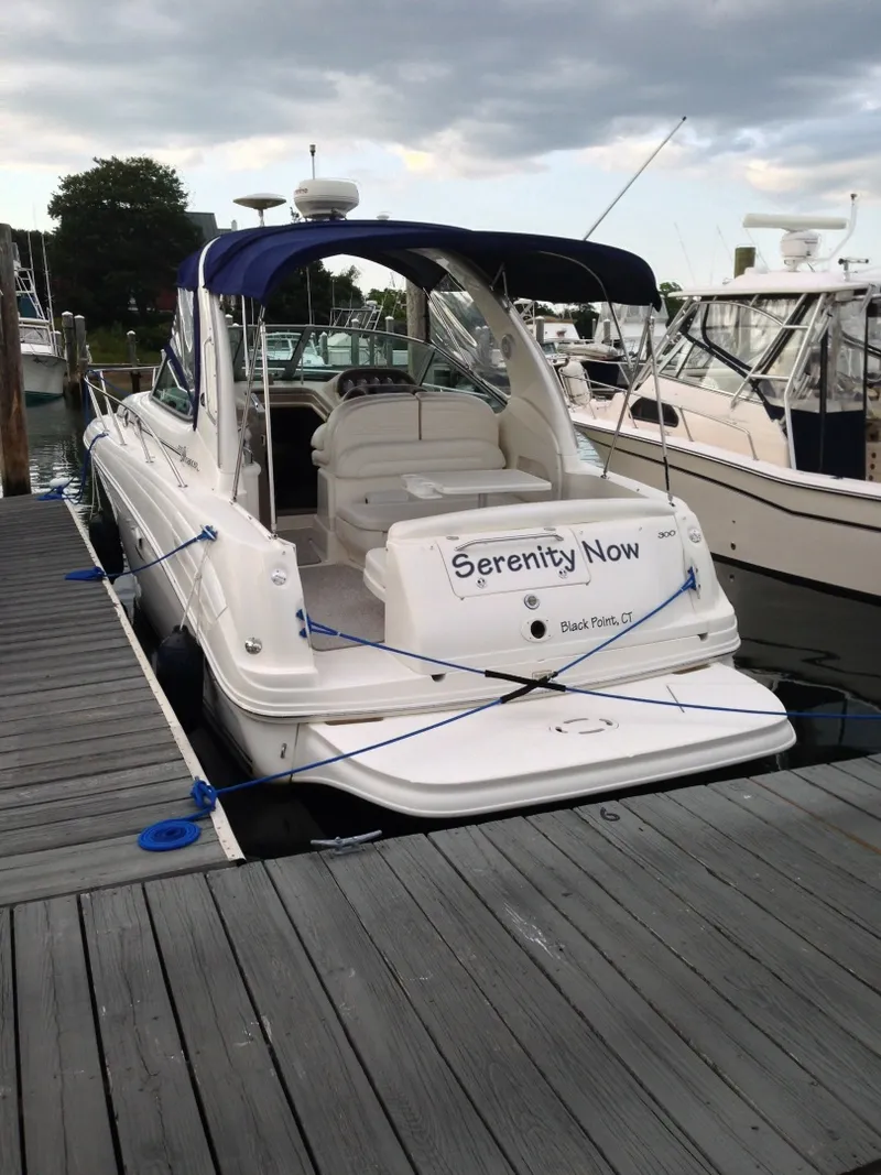 The Image of Sea Ray 300 Sun Dancer 2004 - 7461607