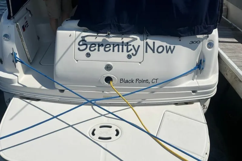 Slide: The Image of Sea Ray 300 Sun Dancer 2004 - 7465830