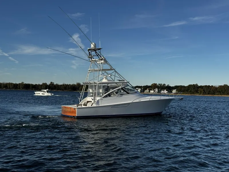 The Image of Viking 42 Open 2014 - 8381400