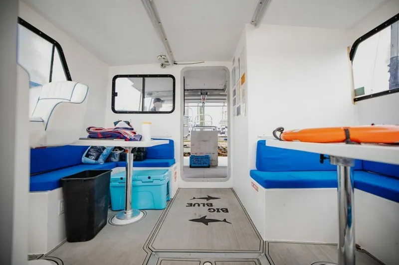 Slide: The Image of Newton 36' Dive Special 2019 - 7465740