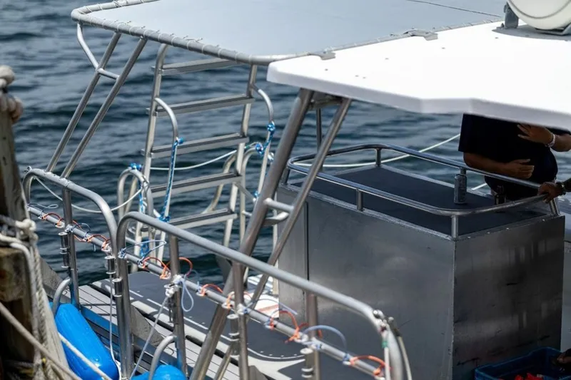 Slide: The Image of Newton 36' Dive Special 2019 - 7465737