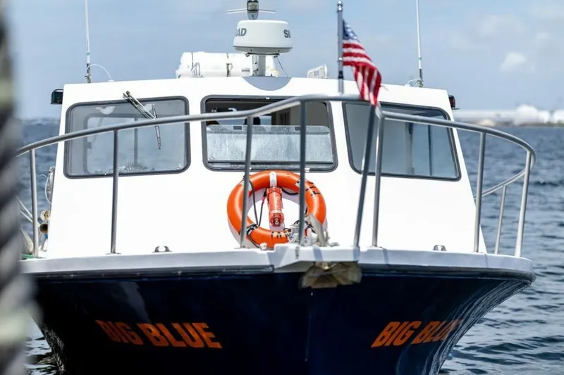 Slide: The Image of Newton 36' Dive Special 2019 - 7465736