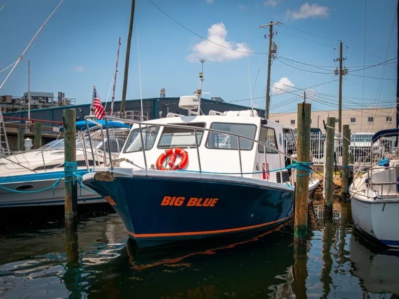 The Image of Newton 36' Dive Special 2019 - 7465759