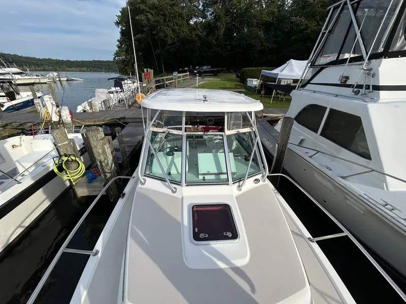 Slide: The Image of Back Cove 26 2005 - 7468927