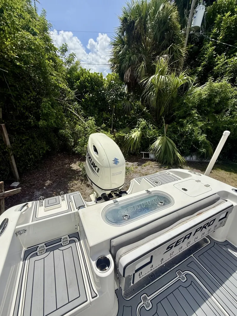 Slide: The Image of Sea Pro 219CC 2020 - 7511240