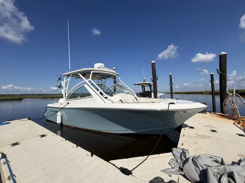 The Image of Sailfish 245 DC 2023 - 7527209