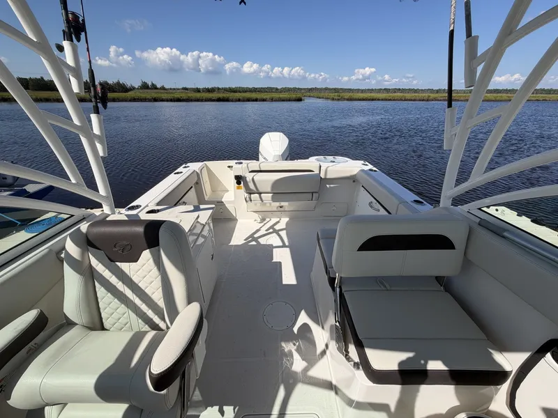 Slide: The Image of Sailfish 245 DC 2023 - 7527234