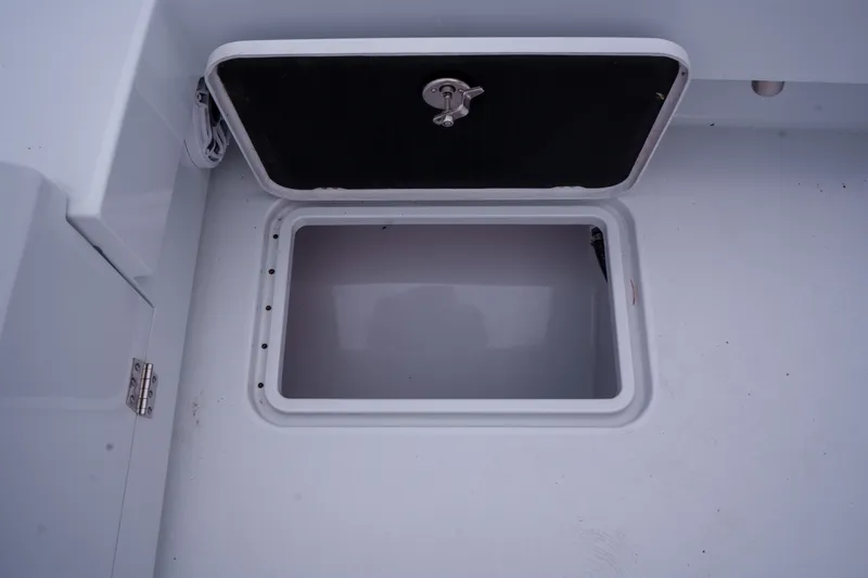 Slide: The Image of Conch 33 2026 - 7532390