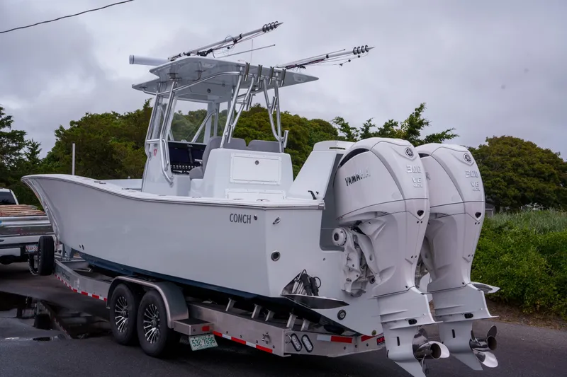 Slide: The Image of Conch 33 2026 - 7532450