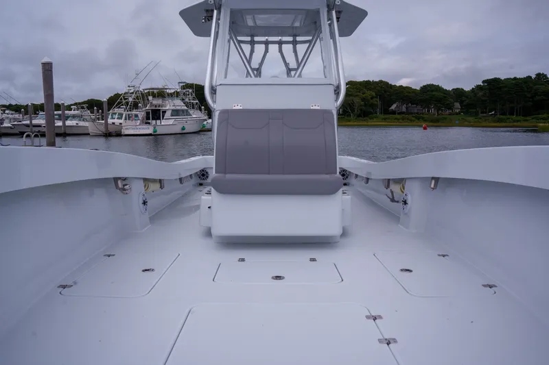 Slide: The Image of Conch 33 2026 - 7532468
