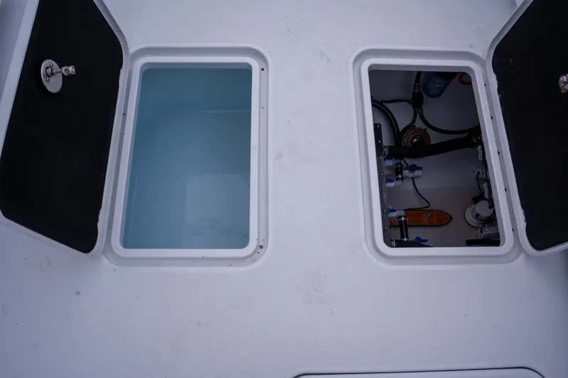 Slide: The Image of Conch 33 2026 - 7532453