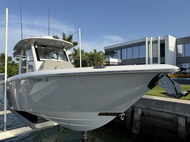 Slide: The Image of Solace 345CC 2020 - 7533062