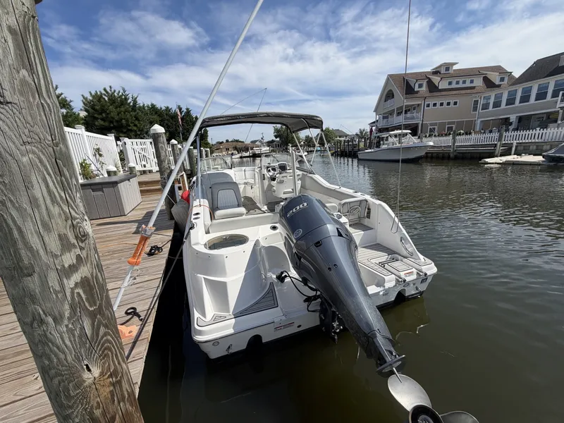 Slide: The Image of Sea Fox 226 Traveler 2021 - 7587530