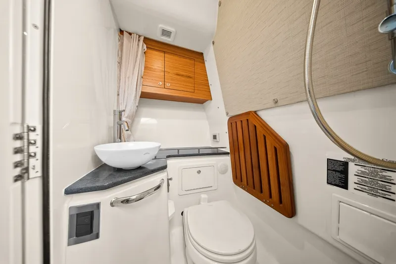 Slide: The Image of Boston Whaler 380 Realm 2020 - 7587686