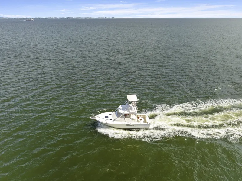 Slide: The Image of DJI_20260820115235_0662_D - 7591988