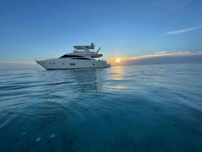 Slide: The Image of Princess Flybridge 2007 - 7595322