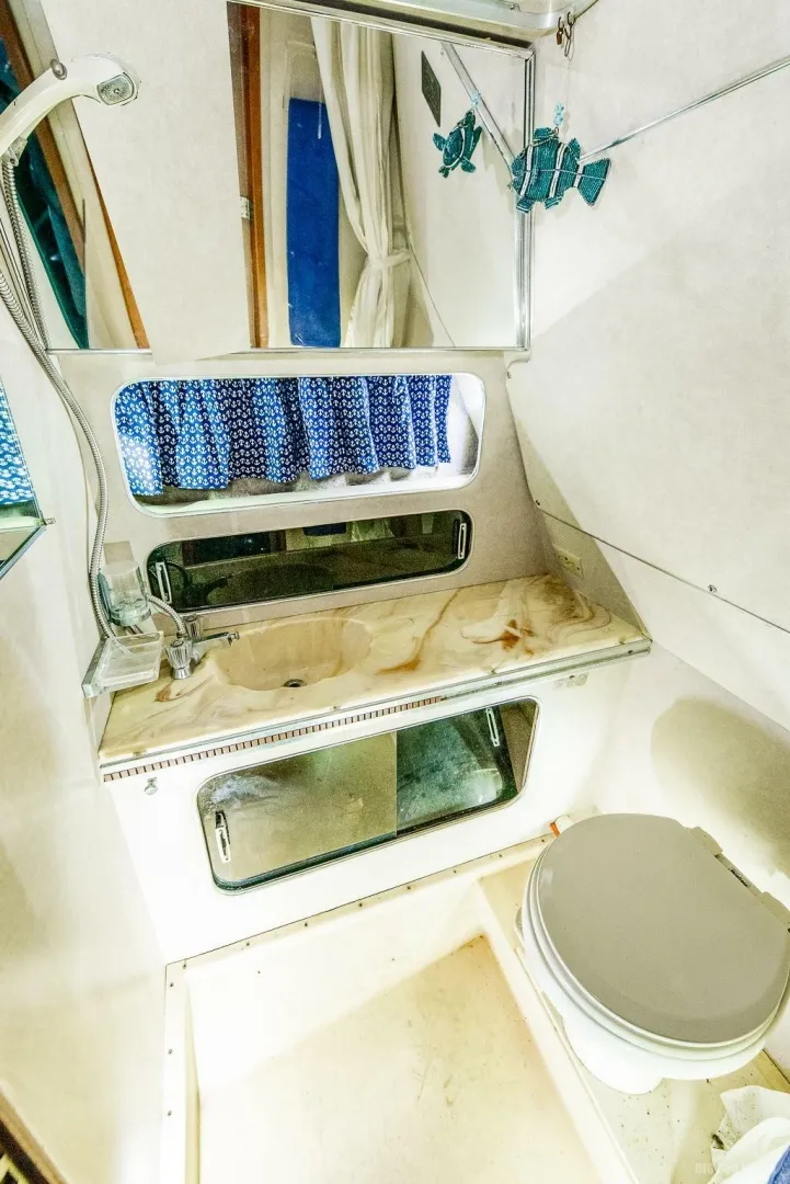Slide: The Image of Chris-Craft 33 1985 - 7597684