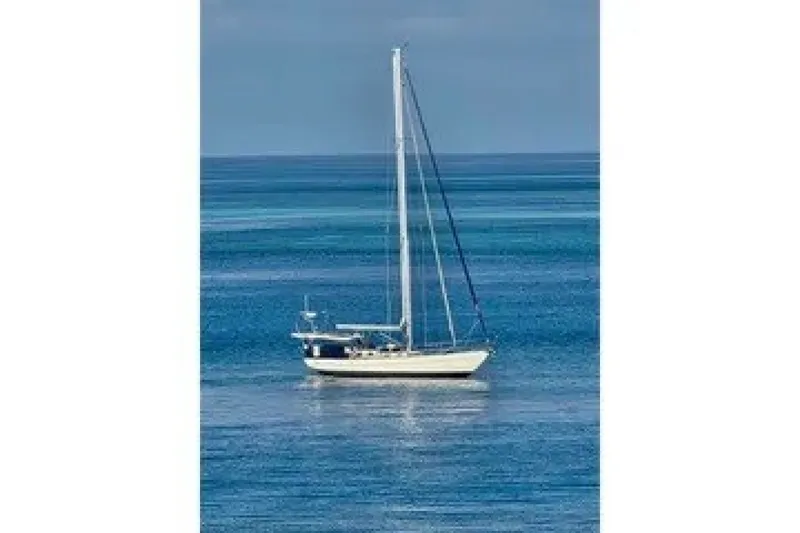 The Image of Reliance 44 2011 - 7643373