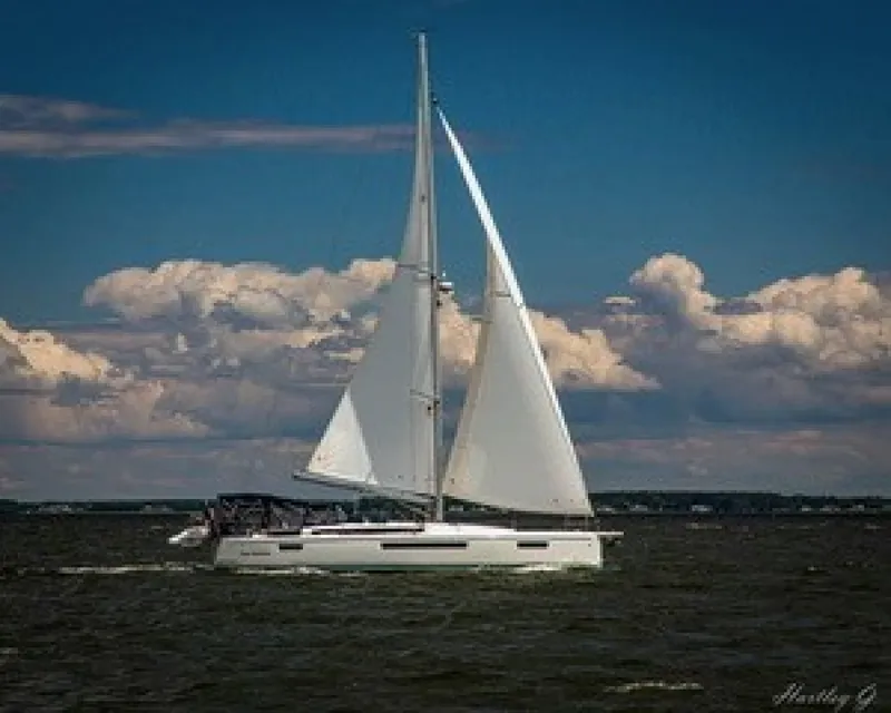 The Image of Jeanneau Sun Odyssey 490 2020 - 7643579