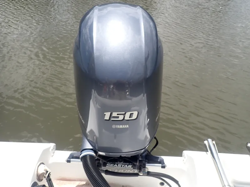 Slide: The Image of Sea Hunt 21 2017 - 7669684